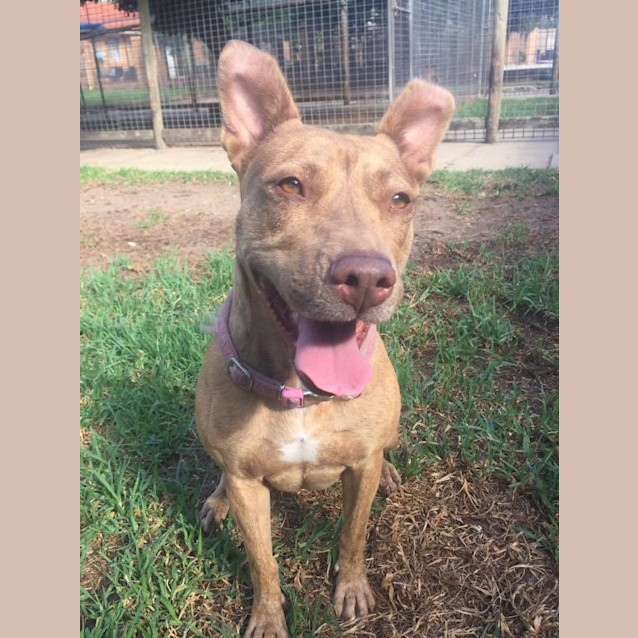 Photo of Molly Dl1063