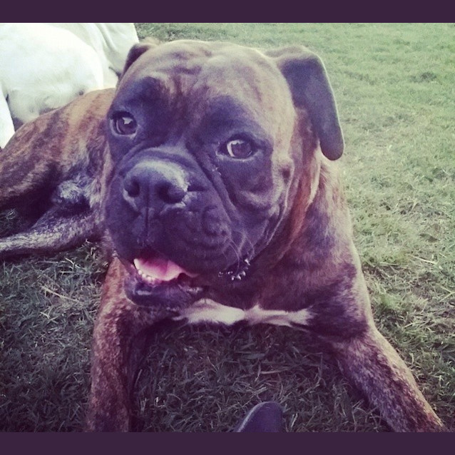 Photo of Crank