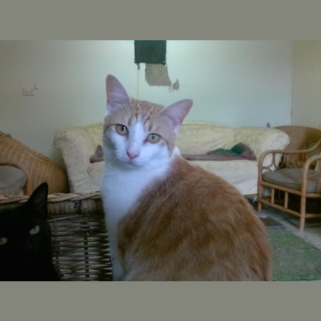 Photo of Lennon & Lennox