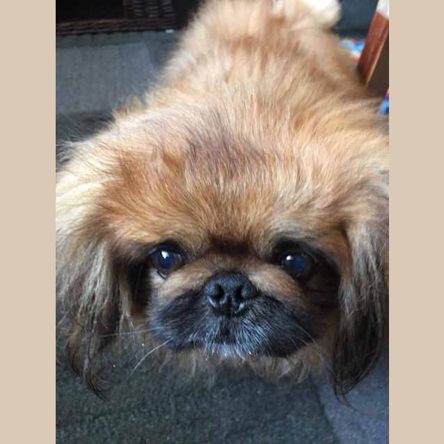 Photo of Bobby And Lizzie