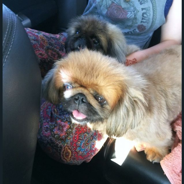 Photo of Bobby And Lizzie