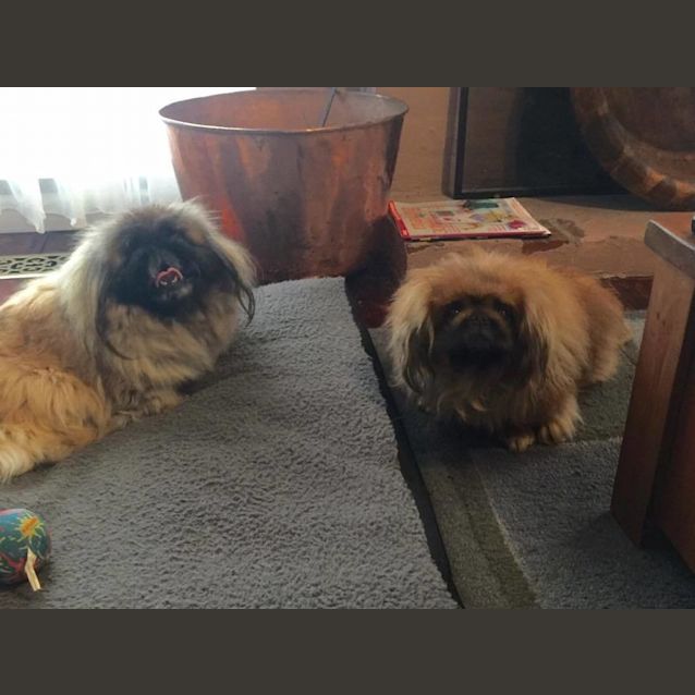 Photo of Bobby And Lizzie