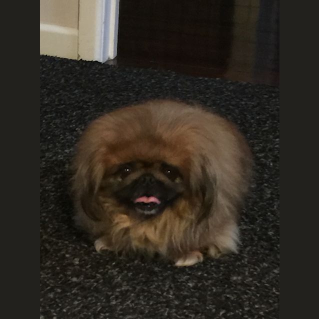 Photo of Bobby And Lizzie