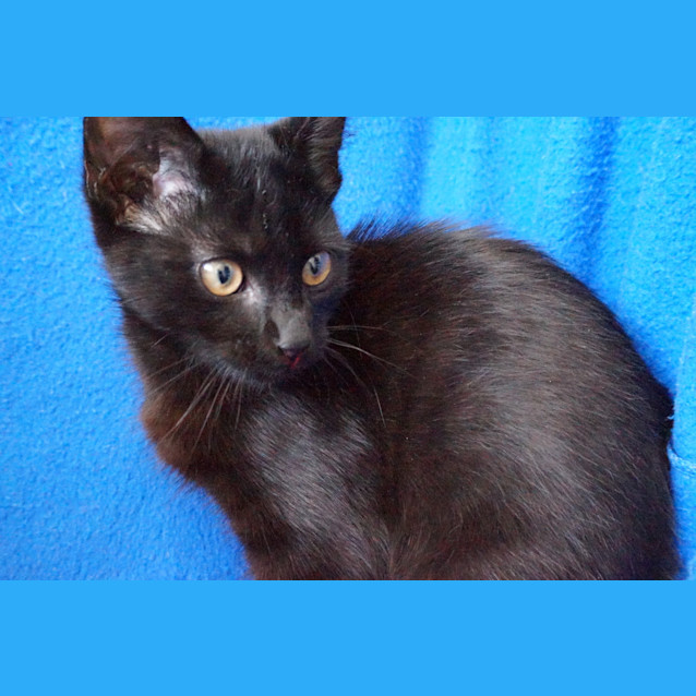 Photo of Winston