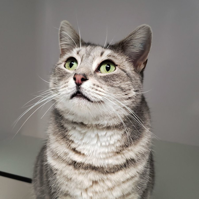 Photo of Iris Sta010372