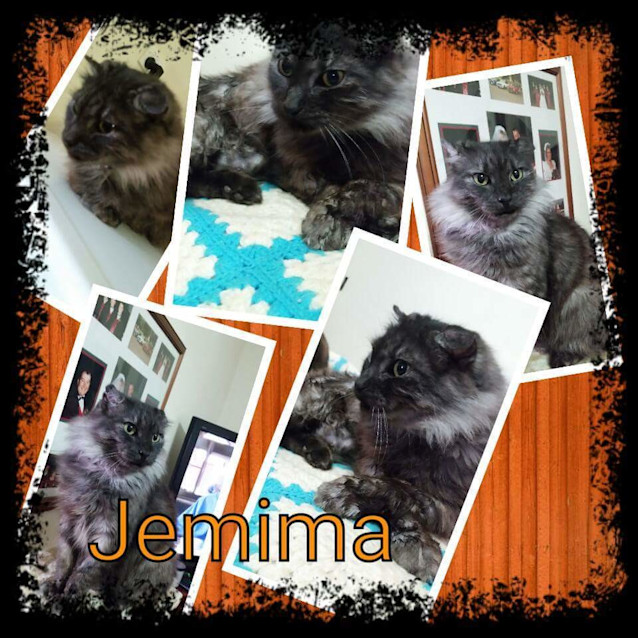 Photo of ** Jemima