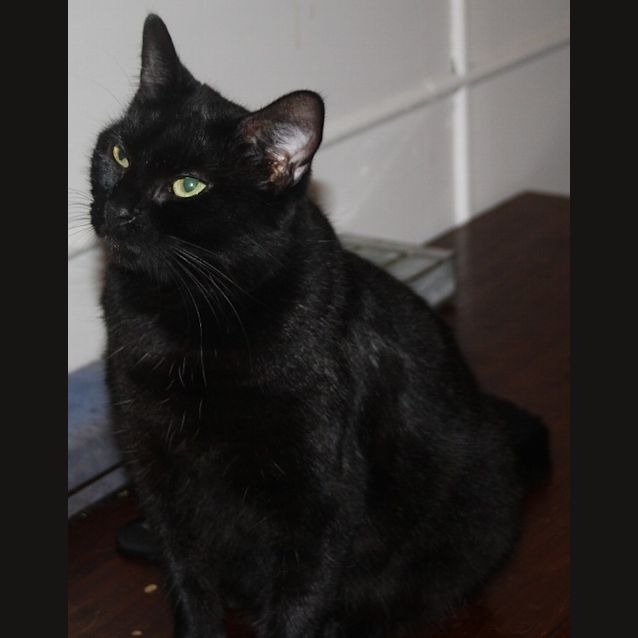 Photo of Hopeful Hannah