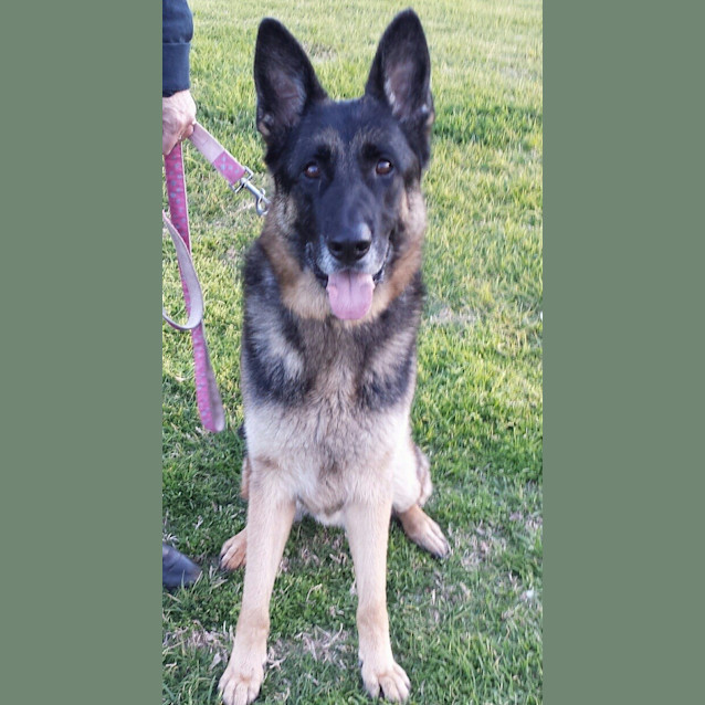 Photo of Axle