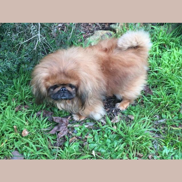 Photo of Bobby And Lizzie