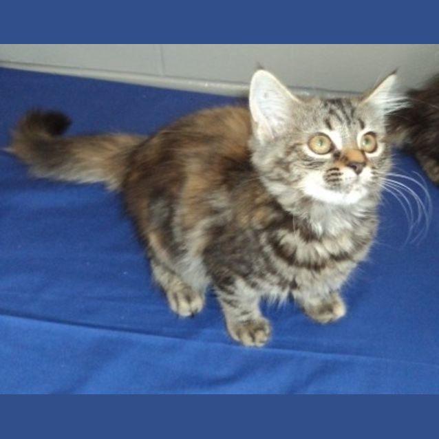 Photo of Tabitha