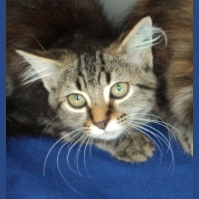 Photo of Tarma