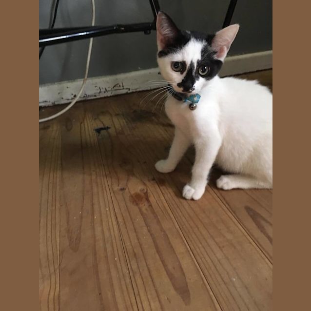 Photo of *Clint Eastwood* Make My Day!