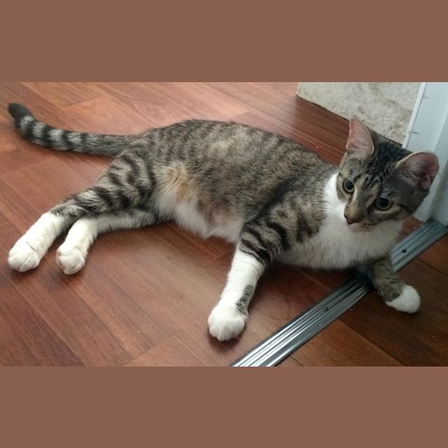 Photo of La La