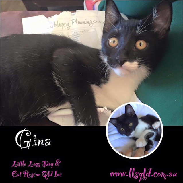 Photo of Gina