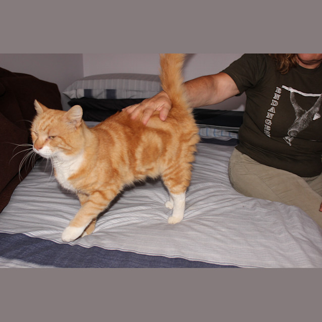 Photo of Timmothy