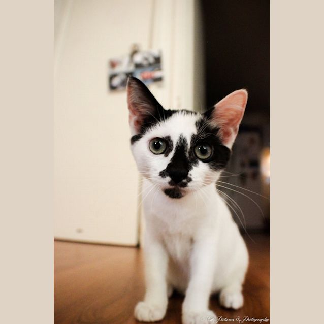 Photo of *Clint Eastwood* Make My Day!