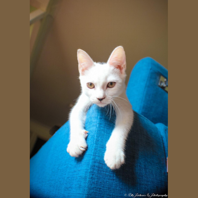 Photo of *Grace Kelly* A Princess In The Making!