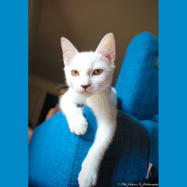 Photo of *Grace Kelly* A Princess In The Making!