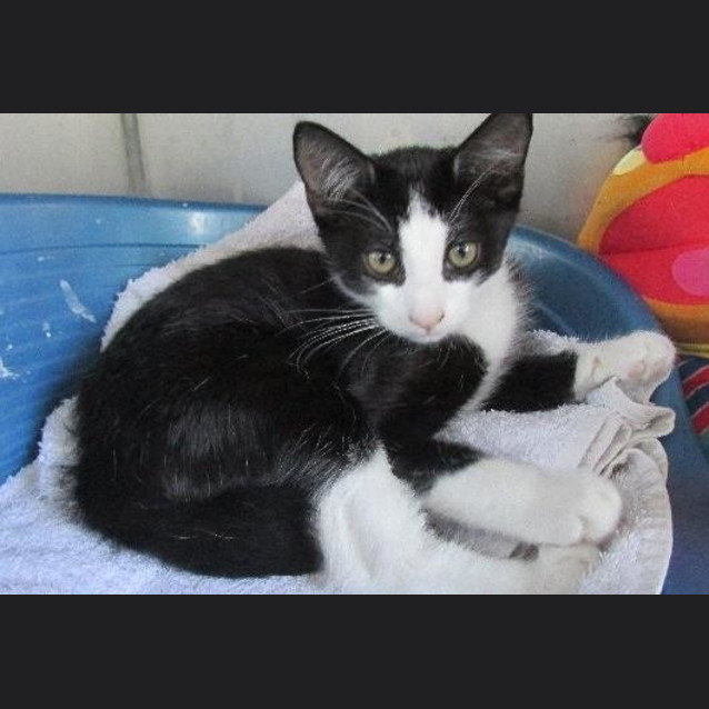 Photo of Sammie