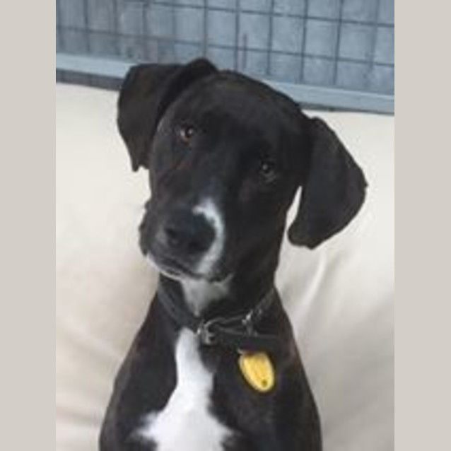 Photo of Lenny