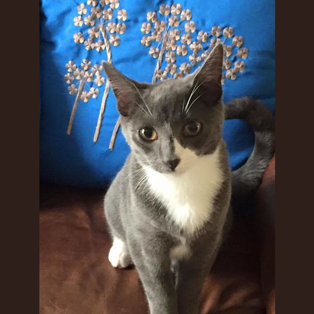 Photo of Buzz And Woody