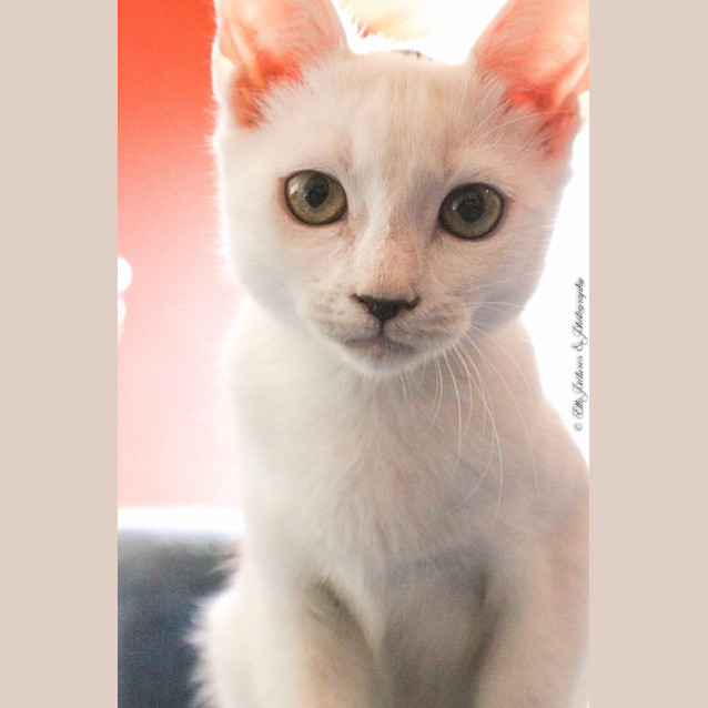 Photo of *Grace Kelly* A Princess In The Making!