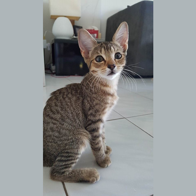 Photo of Fanta