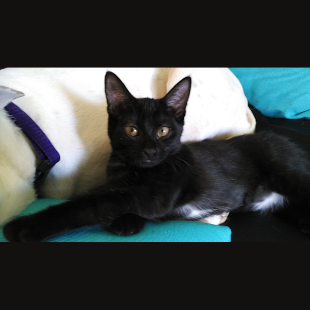 Photo of Ruby * $100 This Month Only! *