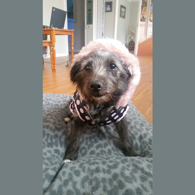 Photo of Asa