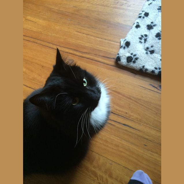 Photo of Portia