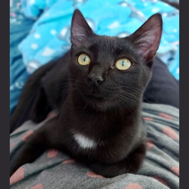 Photo of Kiara
