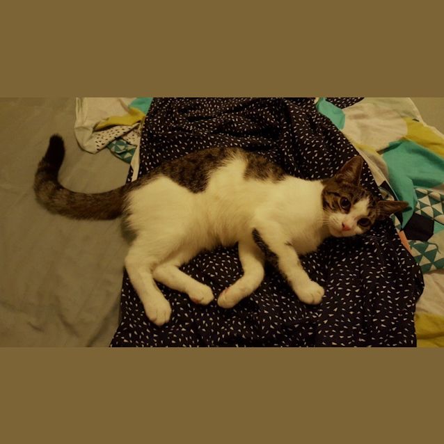 Photo of Sophia