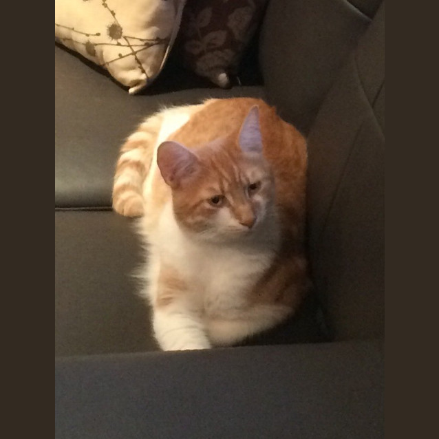 Photo of Jerry