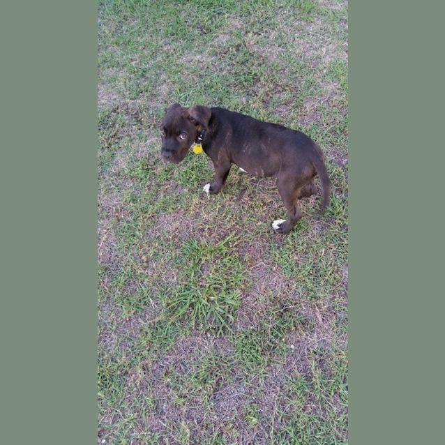 Photo of Leela
