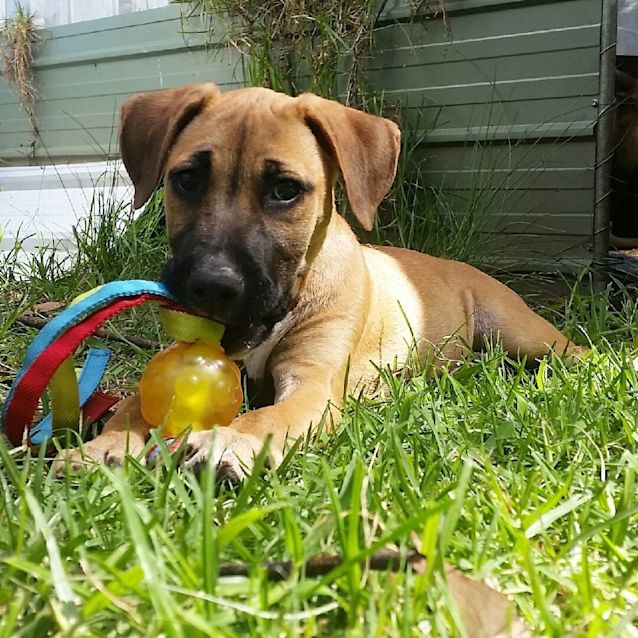 Photo of Jane