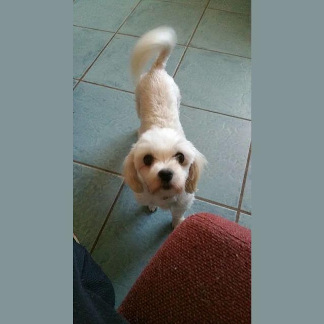 Photo of Ruby