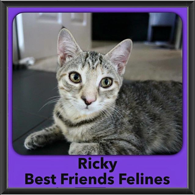 Photo of Ricky