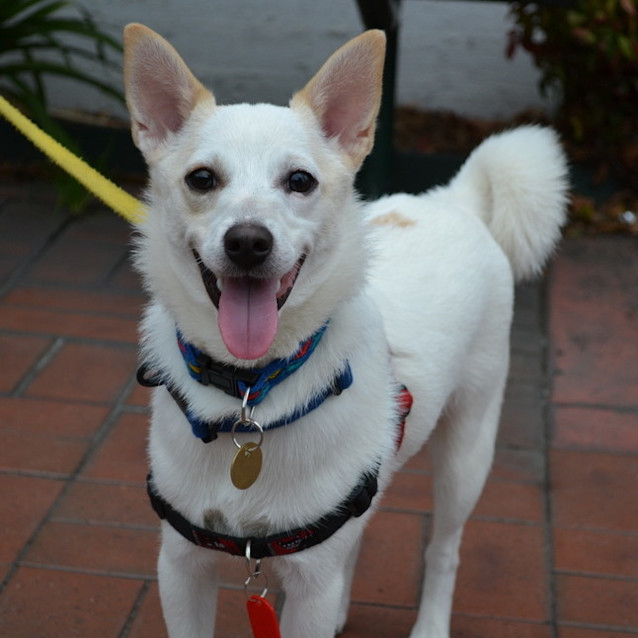 Photo of Ghost