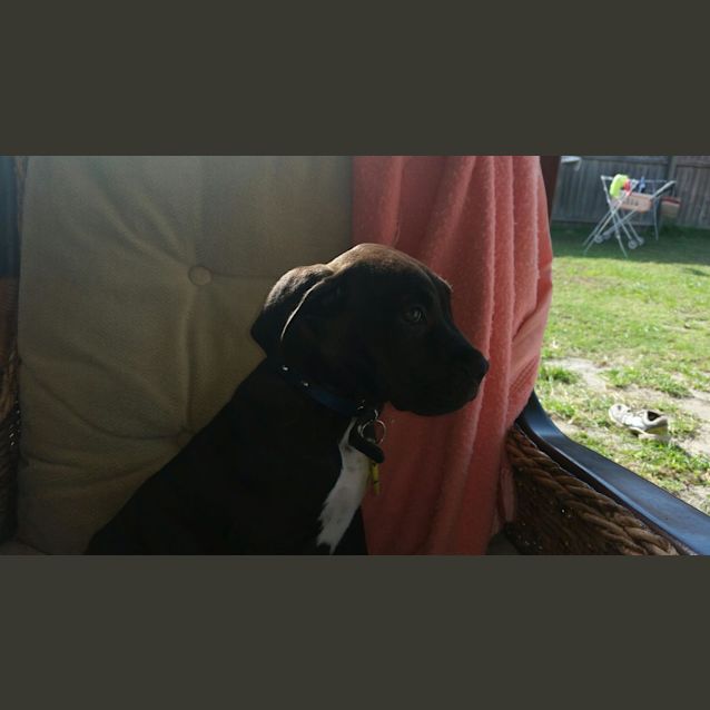 Photo of Leela
