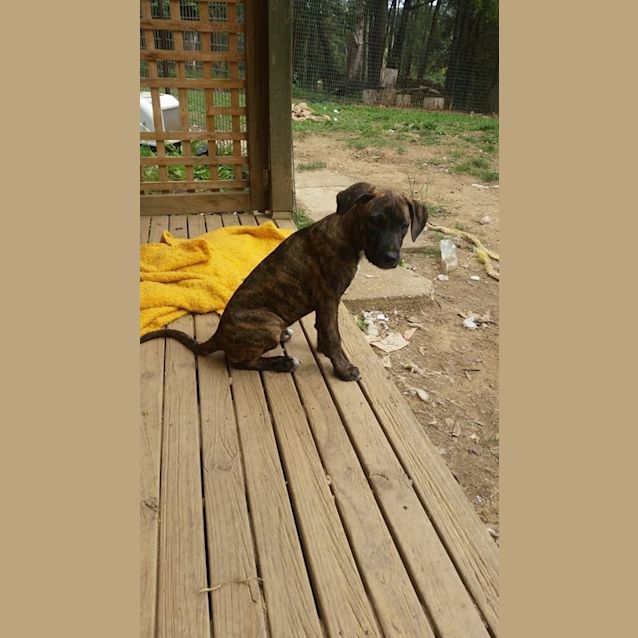 Photo of Shirley