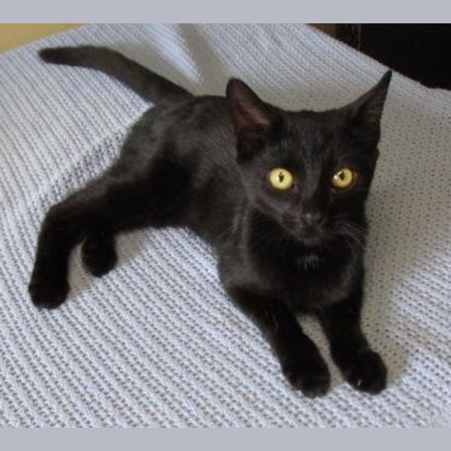 Photo of Tessie