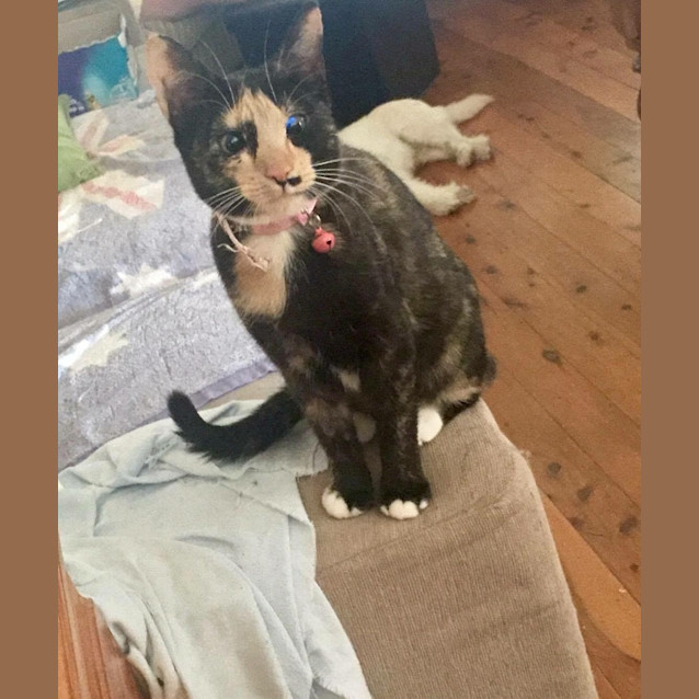 Photo of Onyx & Bella