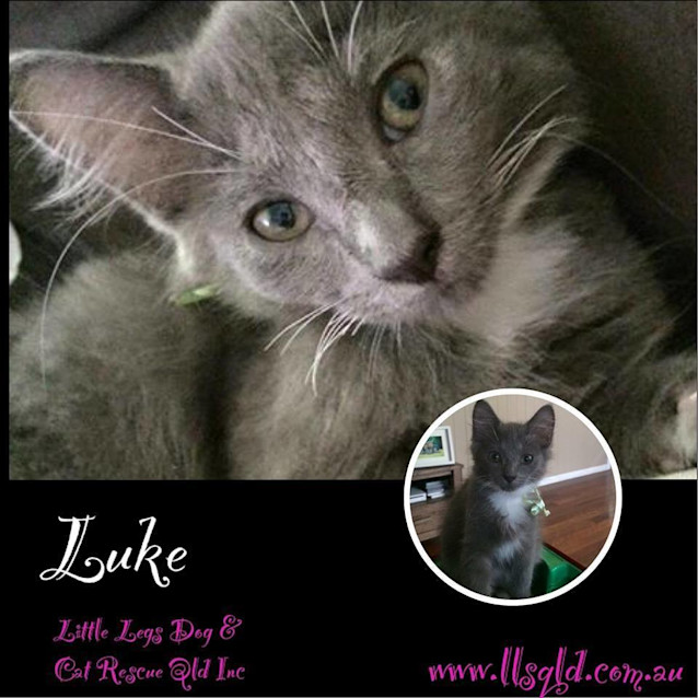 Photo of Luke