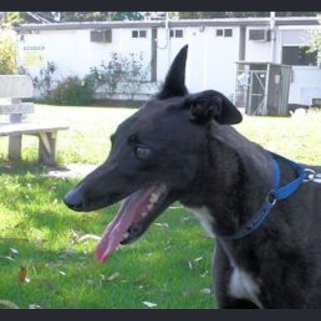 Photo of Nikita Is Checking Out Her New Home