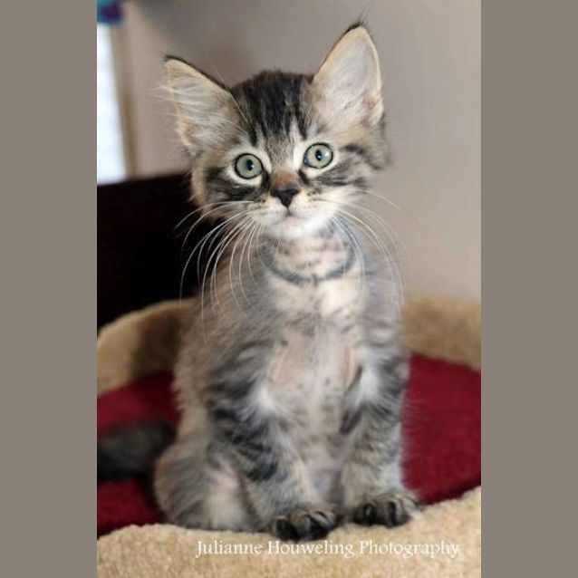 Photo of Theodore