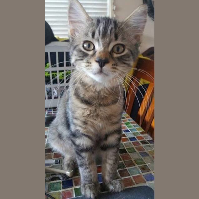Photo of Theodore