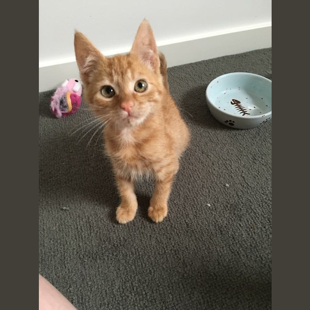 Photo of Adoption Day Sunday 6th March