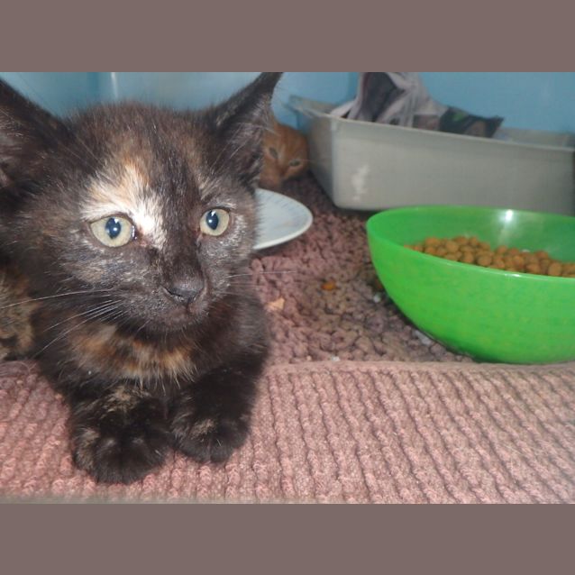 Photo of Hermione