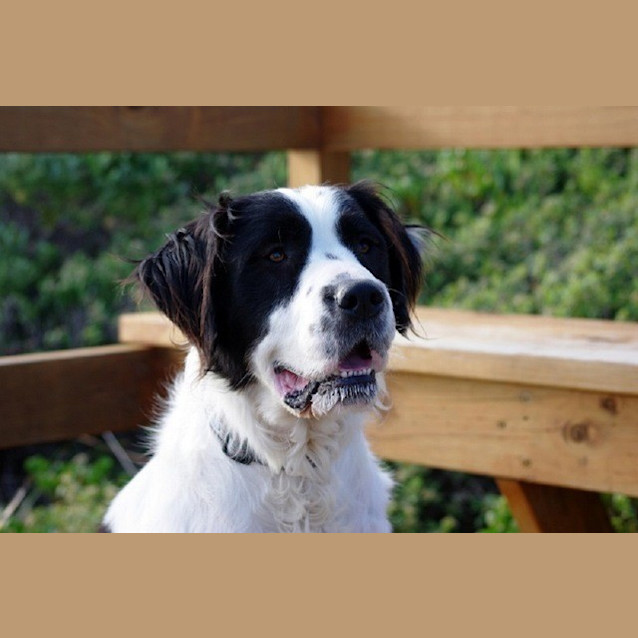 Photo of Bernie Ed0027 