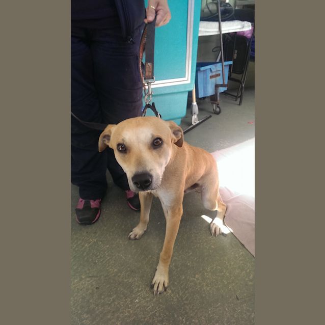 Photo of Sonny Id: 30113